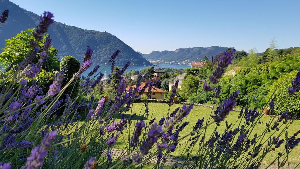 La Finestra Sul Lago Cernobbio Buitenkant foto